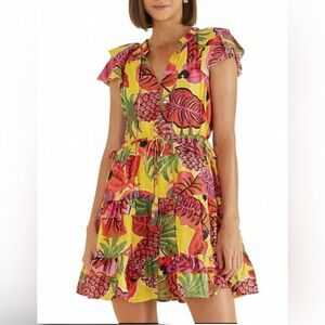 Farm Rio Tropical Multicolor Fruit Floral Ruffle Mini Dress – Size Large